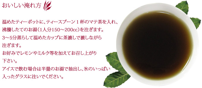 日本マテ茶協会推奨 ブラックマテ茶 ボックス ロースト 品番95 世界のお茶の専門店ティーブティック