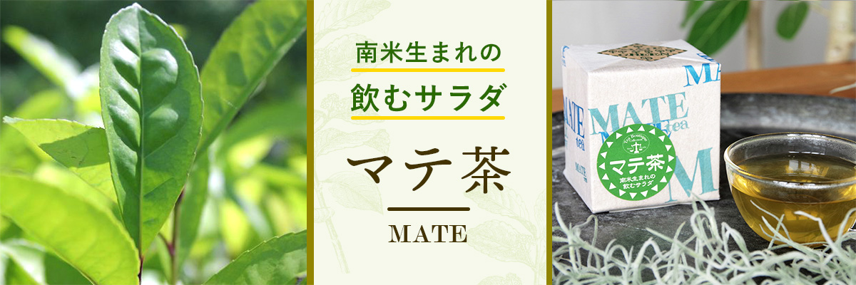 マテ茶特集